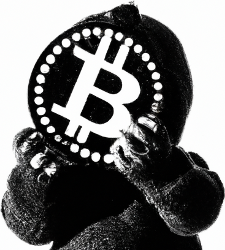 profile picture: anonymous crypto baby holding a bitcoin in front of their face